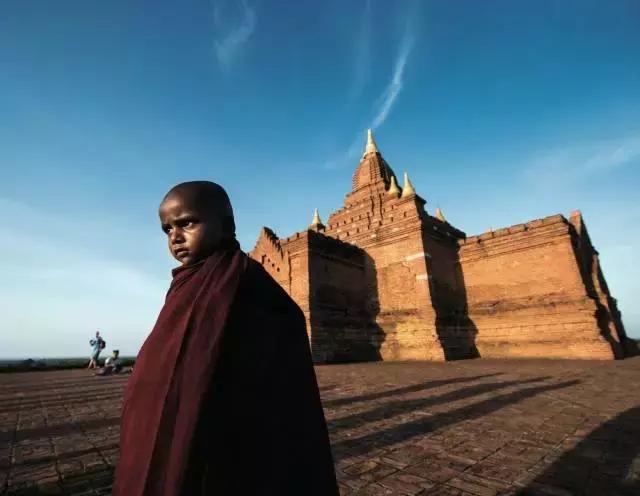 灵活跳跃尘土扬,生肖之兔与时代精神的融合 灵活跳跃尘土扬,生肖之兔与时代精神的融合
